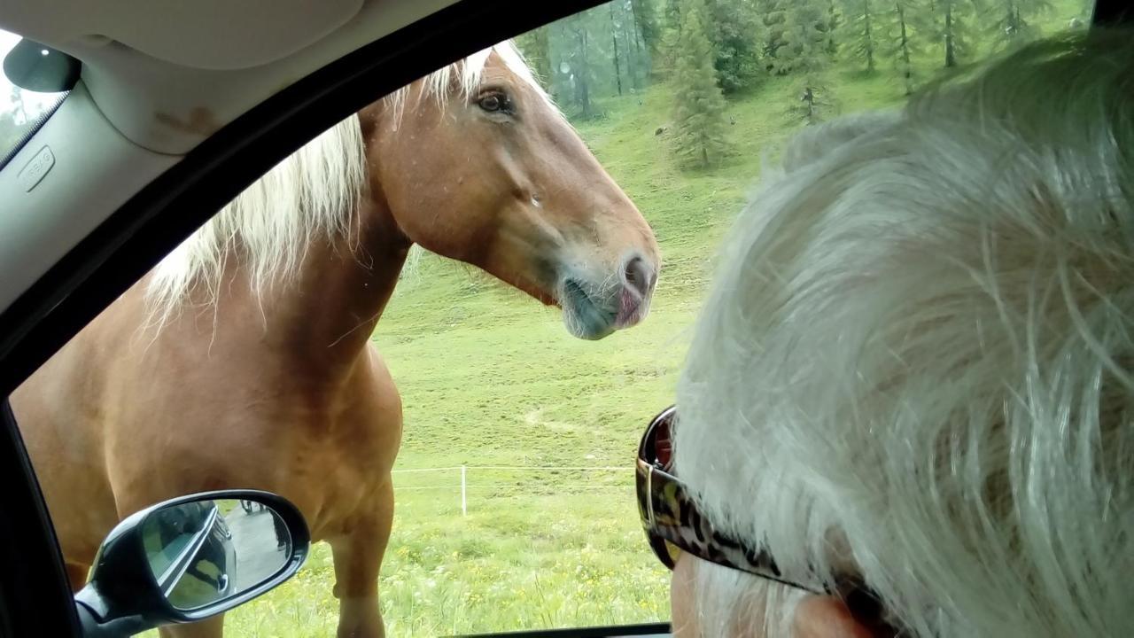 ホテル Landhaus Tirol プレッセッガー・ゼー エクステリア 写真