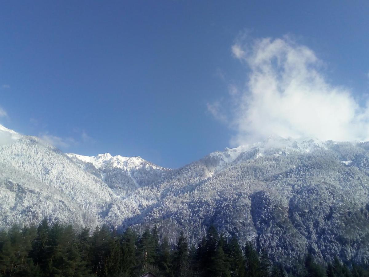 ホテル Landhaus Tirol プレッセッガー・ゼー エクステリア 写真